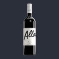 Merlot Qualitätswein 2024 – ganze Flasche auf Anthrazit